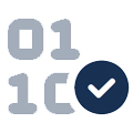 Sviluppo software